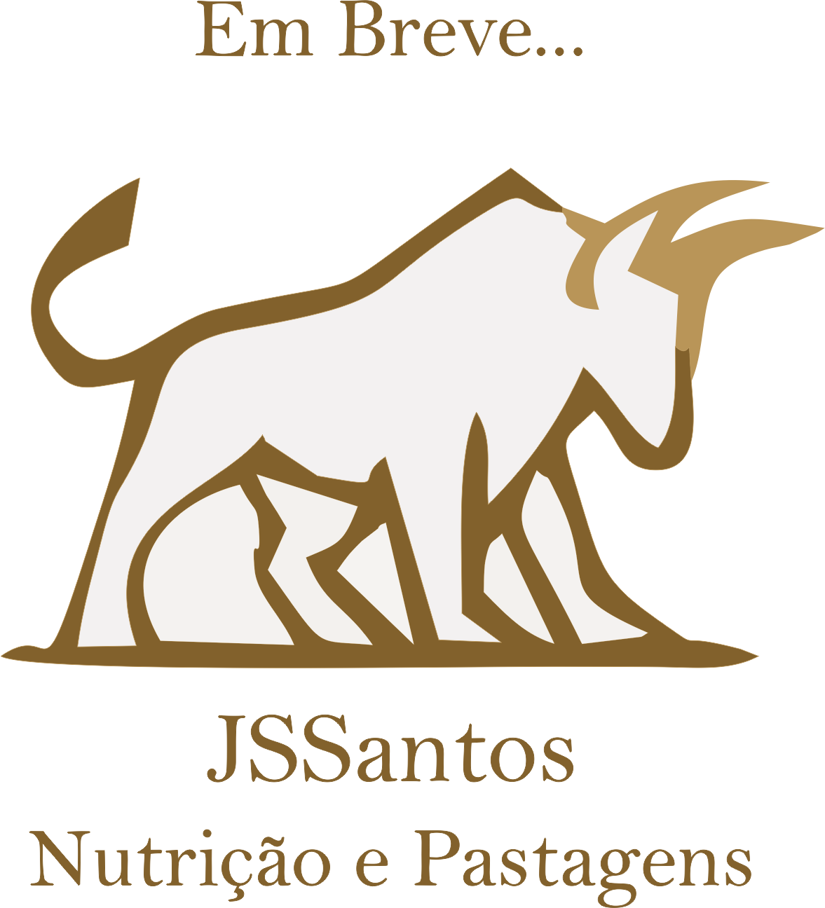 JSSantos